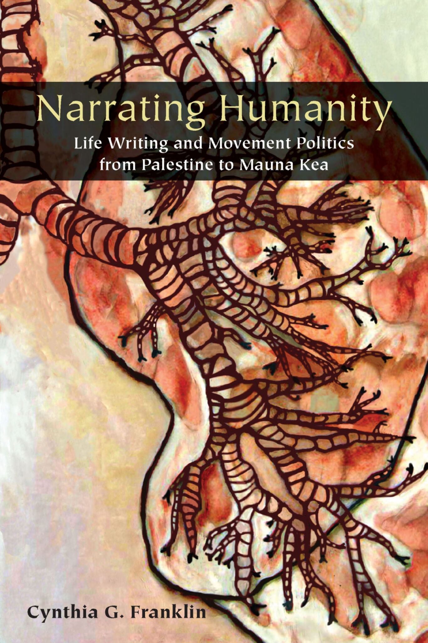 Cover image for Narrating Humanity ISBN 9781531503727