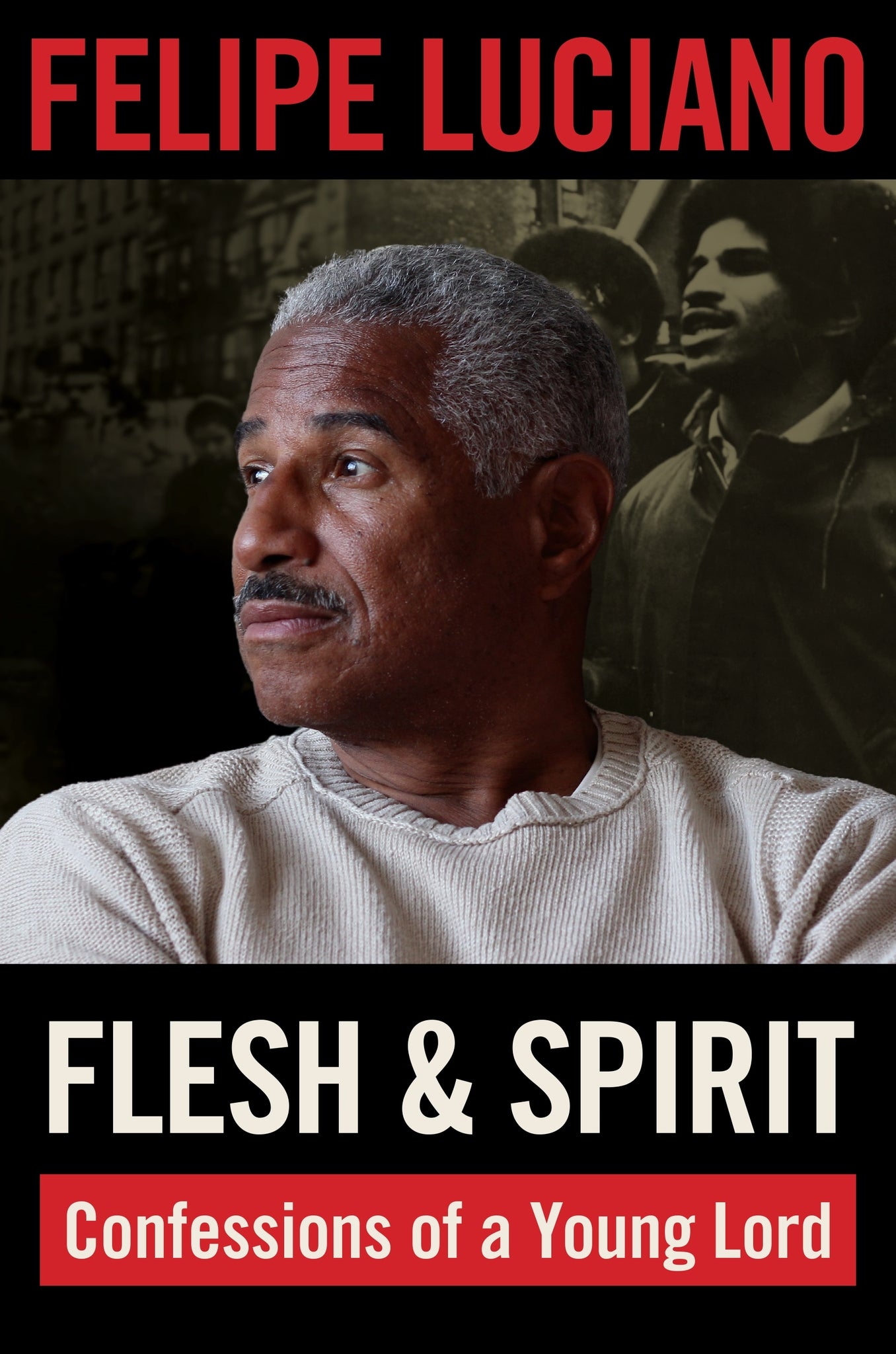 Cover image for Flesh and Spirit ISBN 9781531504489