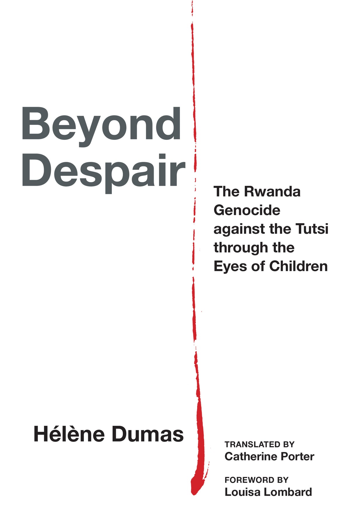 Cover image for Beyond Despair ISBN 9781531506087