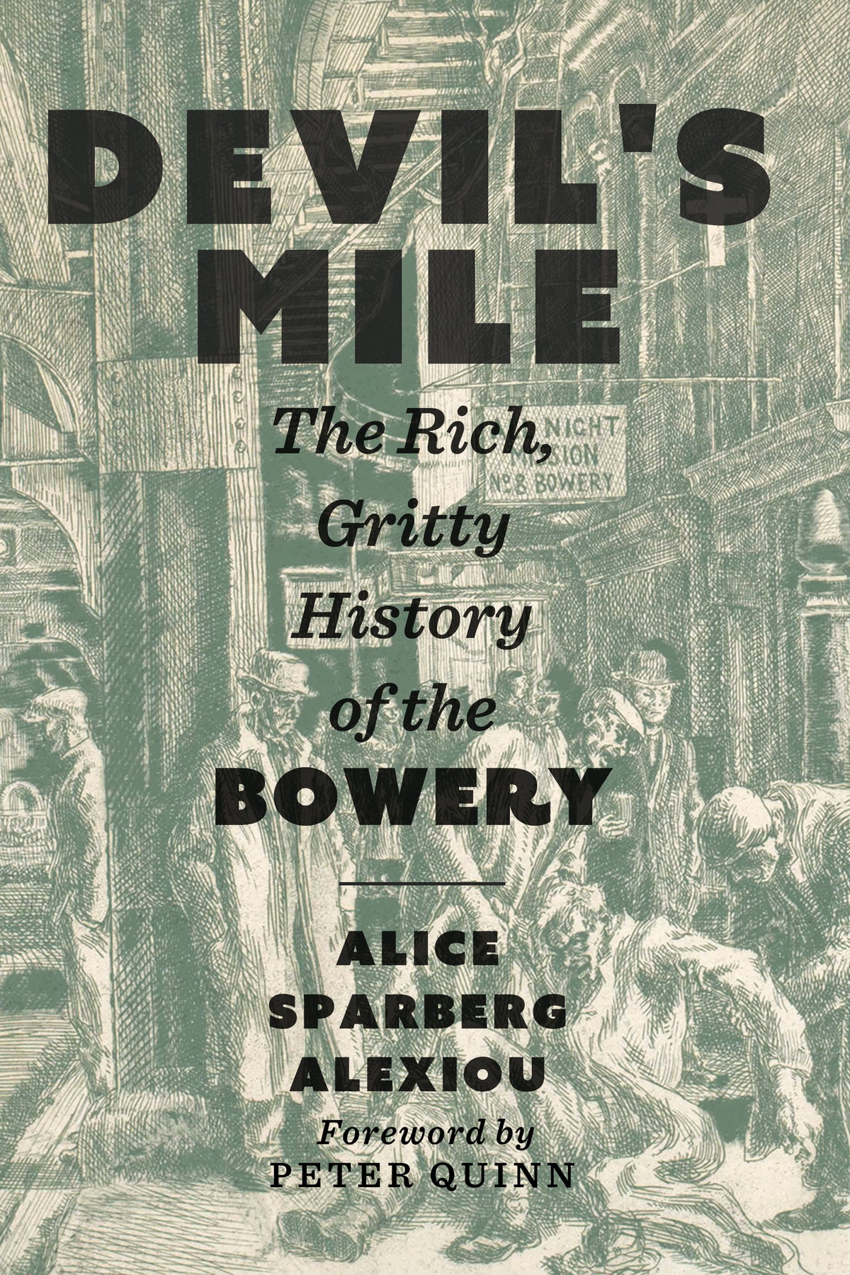 Cover image for Devil's Mile ISBN 9781531507268