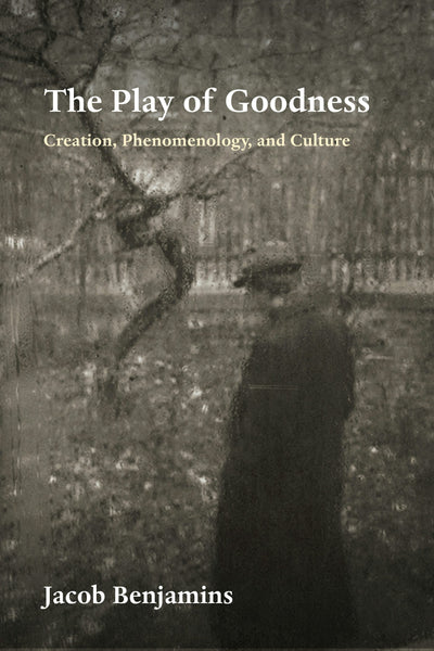 Cover image for The Play of Goodness, isbn: 9781531508883