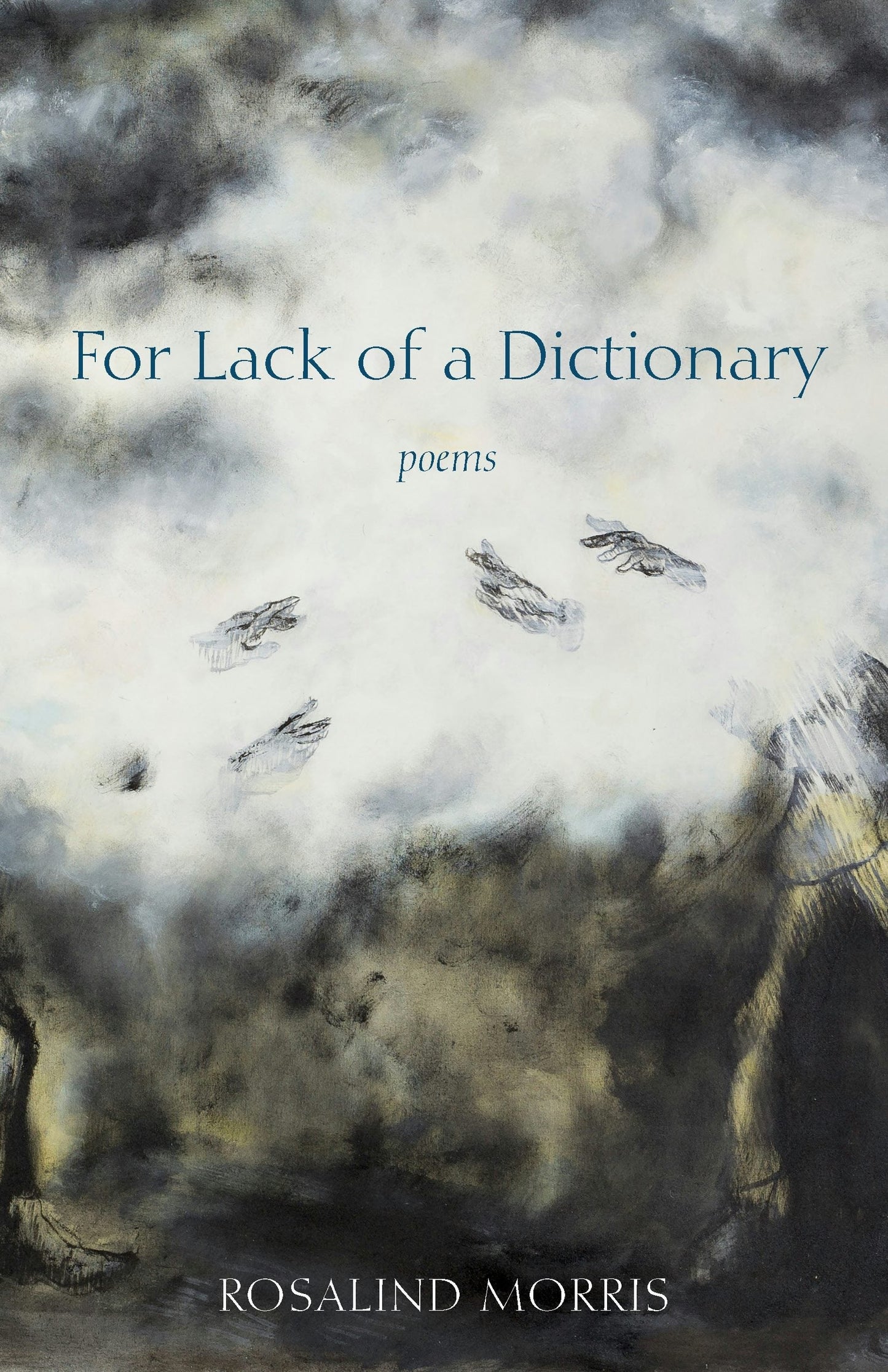 Book cover image for For Lack of a Dictionary ISBN: 9781531509736