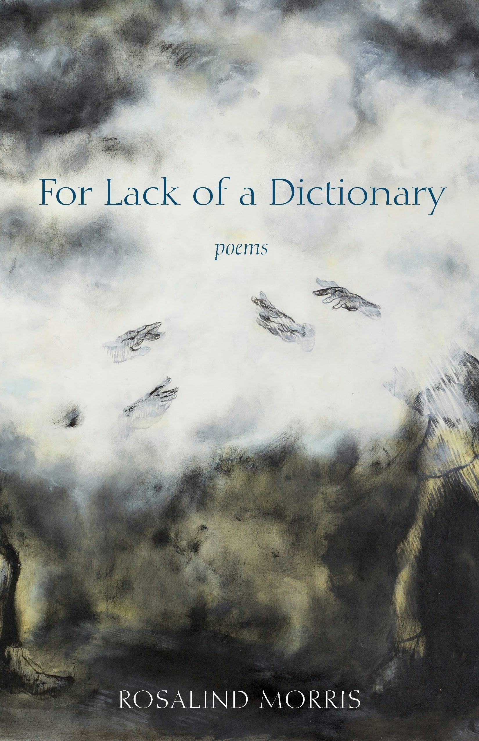 Book cover image for For Lack of a Dictionary ISBN: 9781531509736