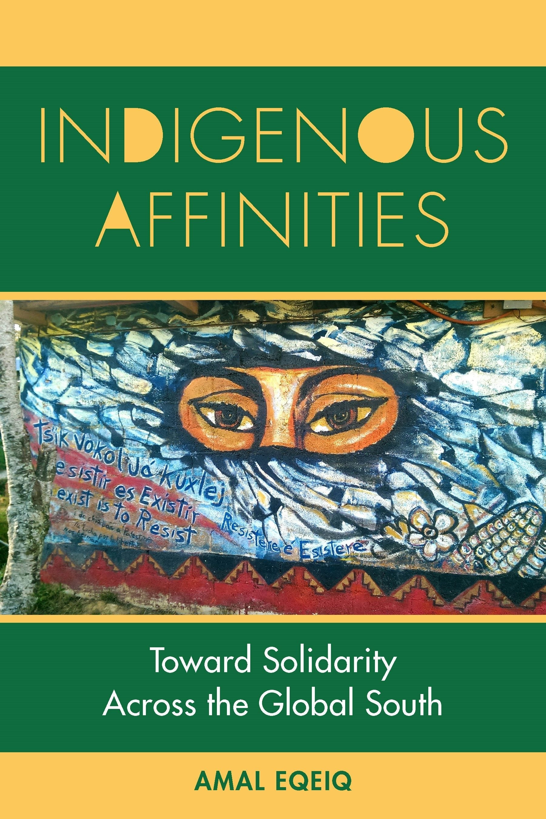 Book cover image for Indigenous Affinities ISBN: 9781531510275