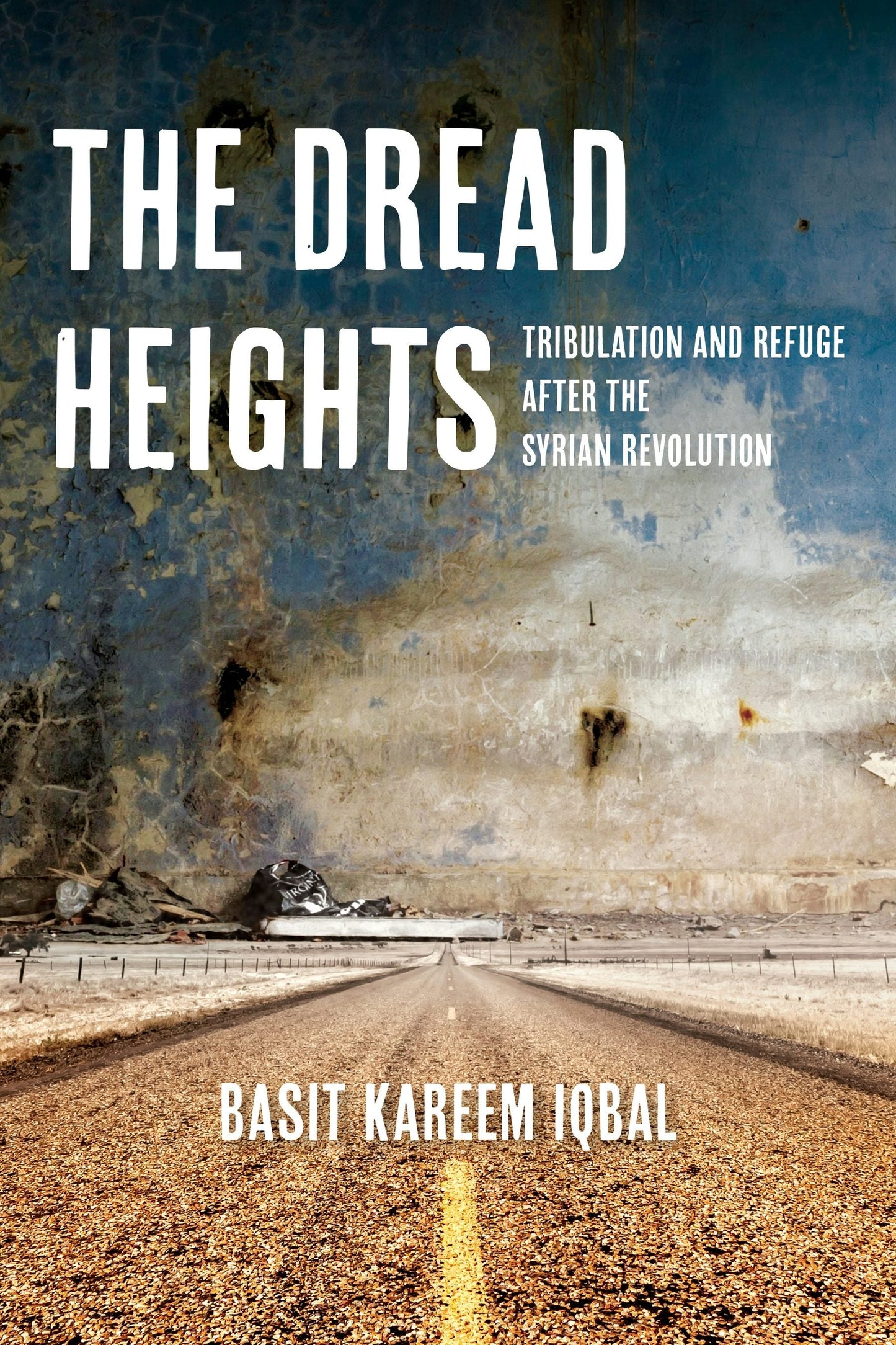 Book cover image for The Dread Heights ISBN: 9781531510329