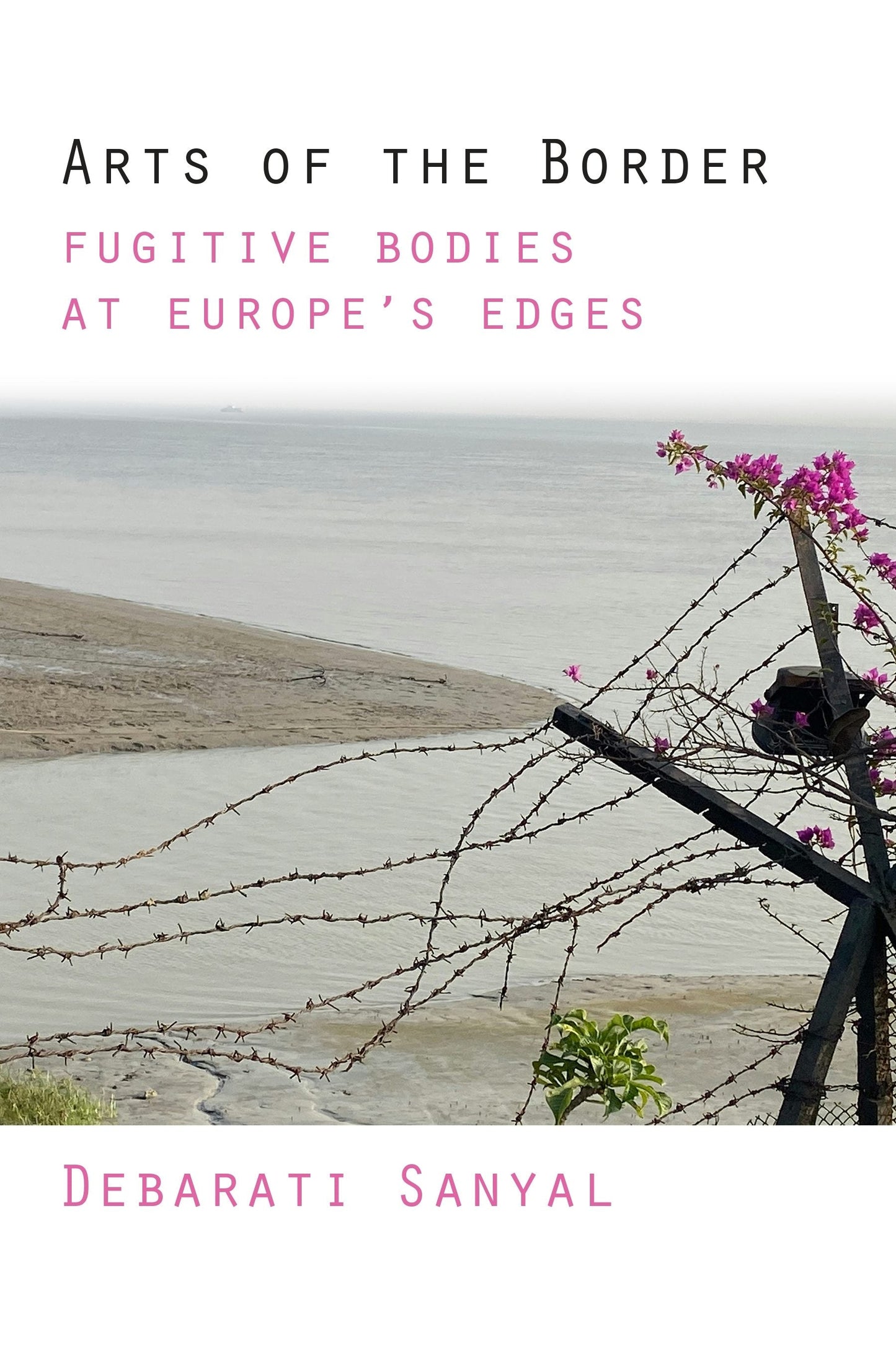 Book cover image for Arts of the Border ISBN: 9781531512125