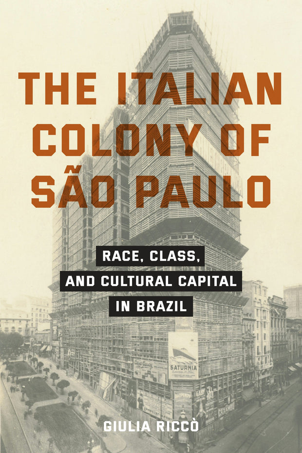 Cover image for The Italian Colony of São Paulo, isbn: 9781531512248