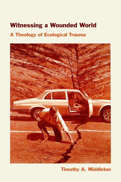 Cover image for Witnessing a Wounded World, isbn: 9781531512767