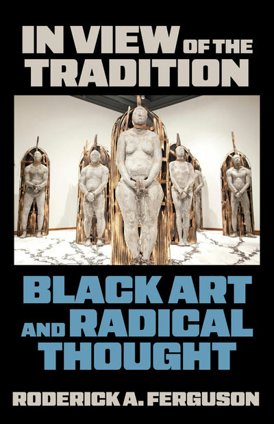 Cover image for In View of the Tradition, isbn: 9781531513443