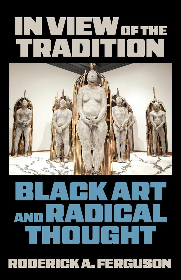 Cover image for In View of the Tradition, isbn: 9781531513443