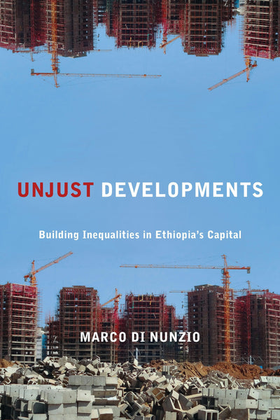 Cover image for Unjust Developments, isbn: 9781531513566