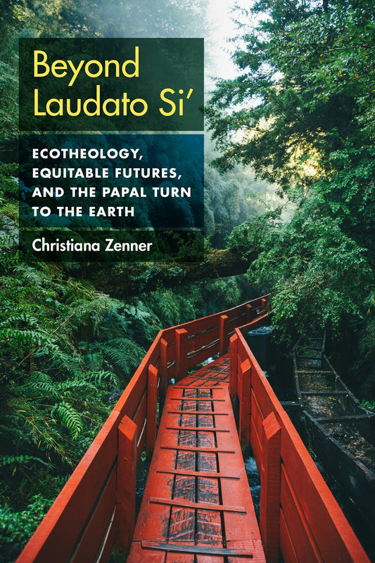 Beyond Laudato Si'