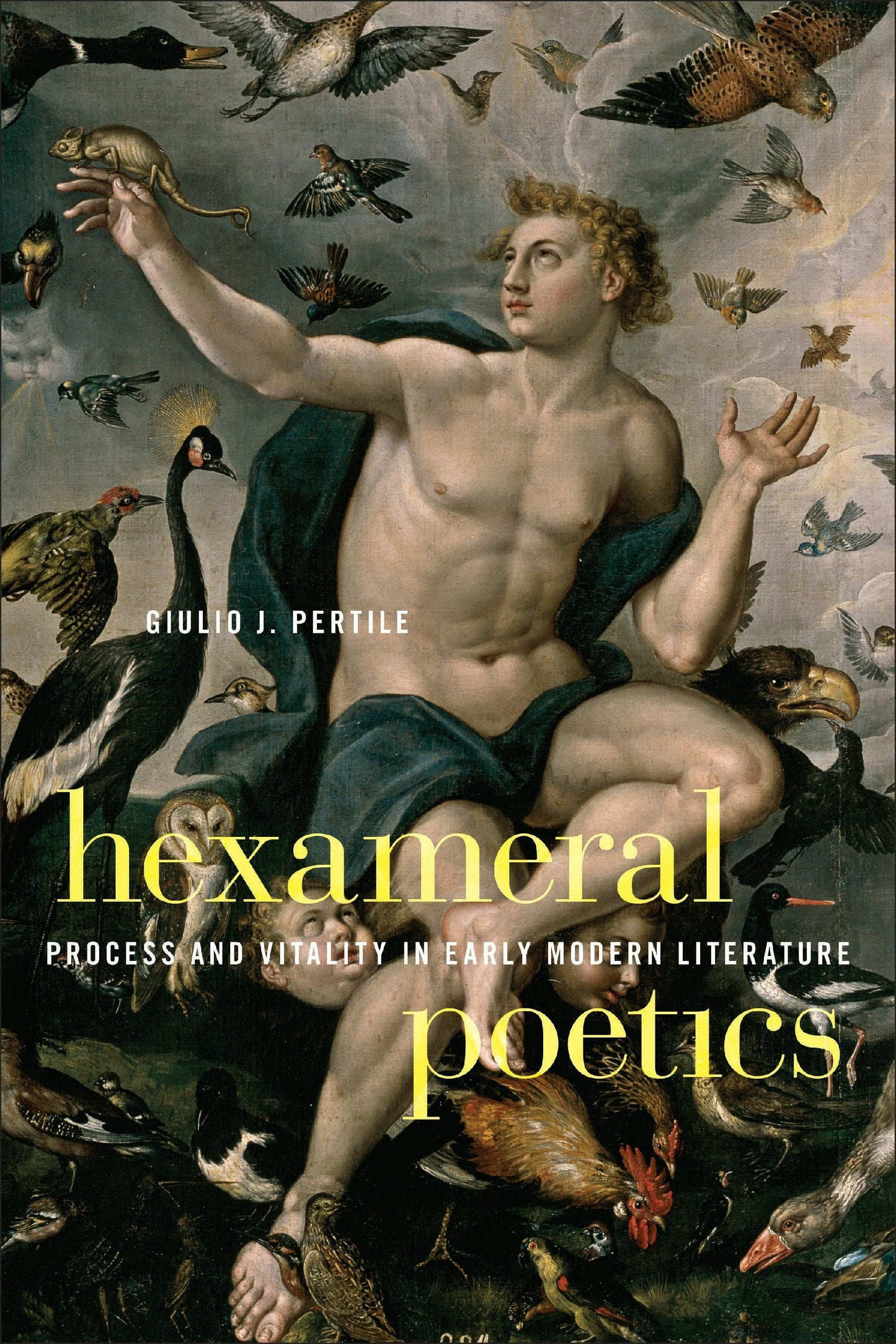 Book cover image for Hexameral Poetics ISBN: 9781531513955