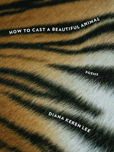 Cover image for How to Cast a Beautiful Animal, isbn: 9781531514365