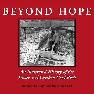 Cover image for Beyond Hope, isbn: 9781550024715