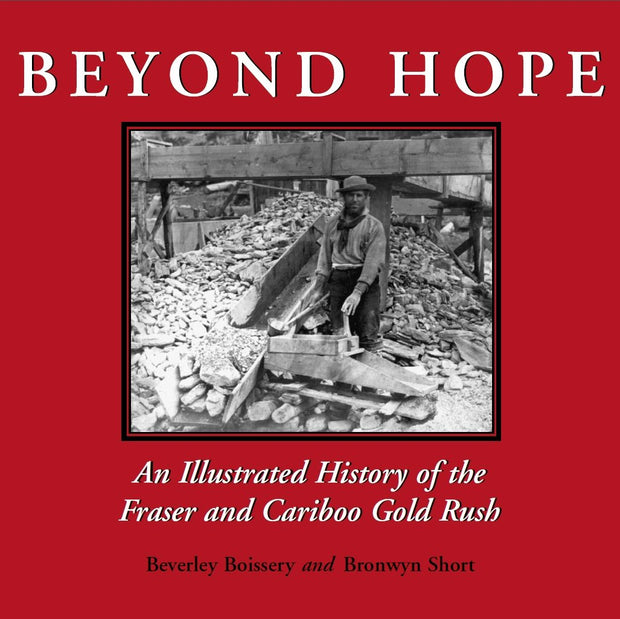 Cover image for Beyond Hope, isbn: 9781550024715