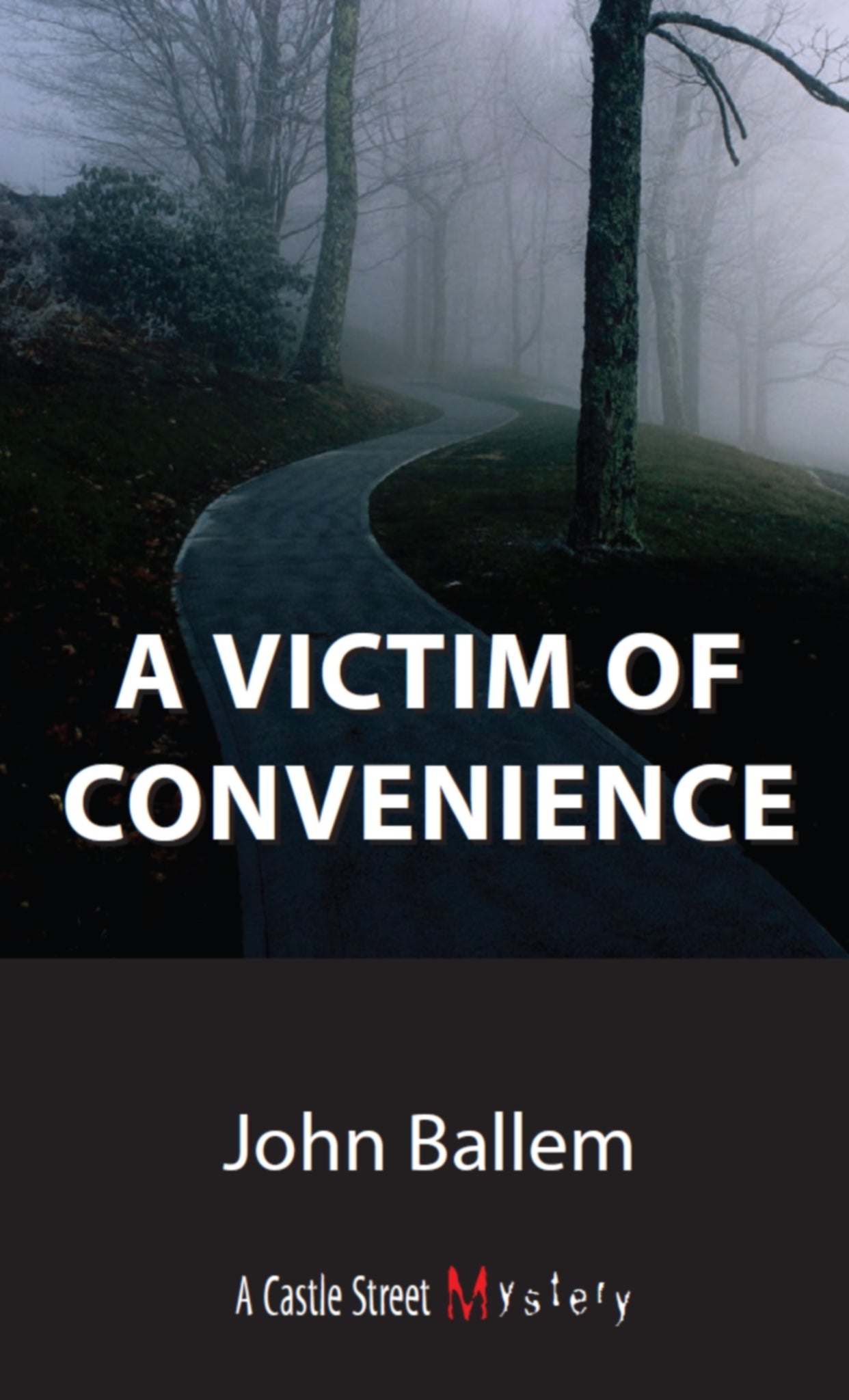 Cover image for Victim of Convenience ISBN 9781550026177