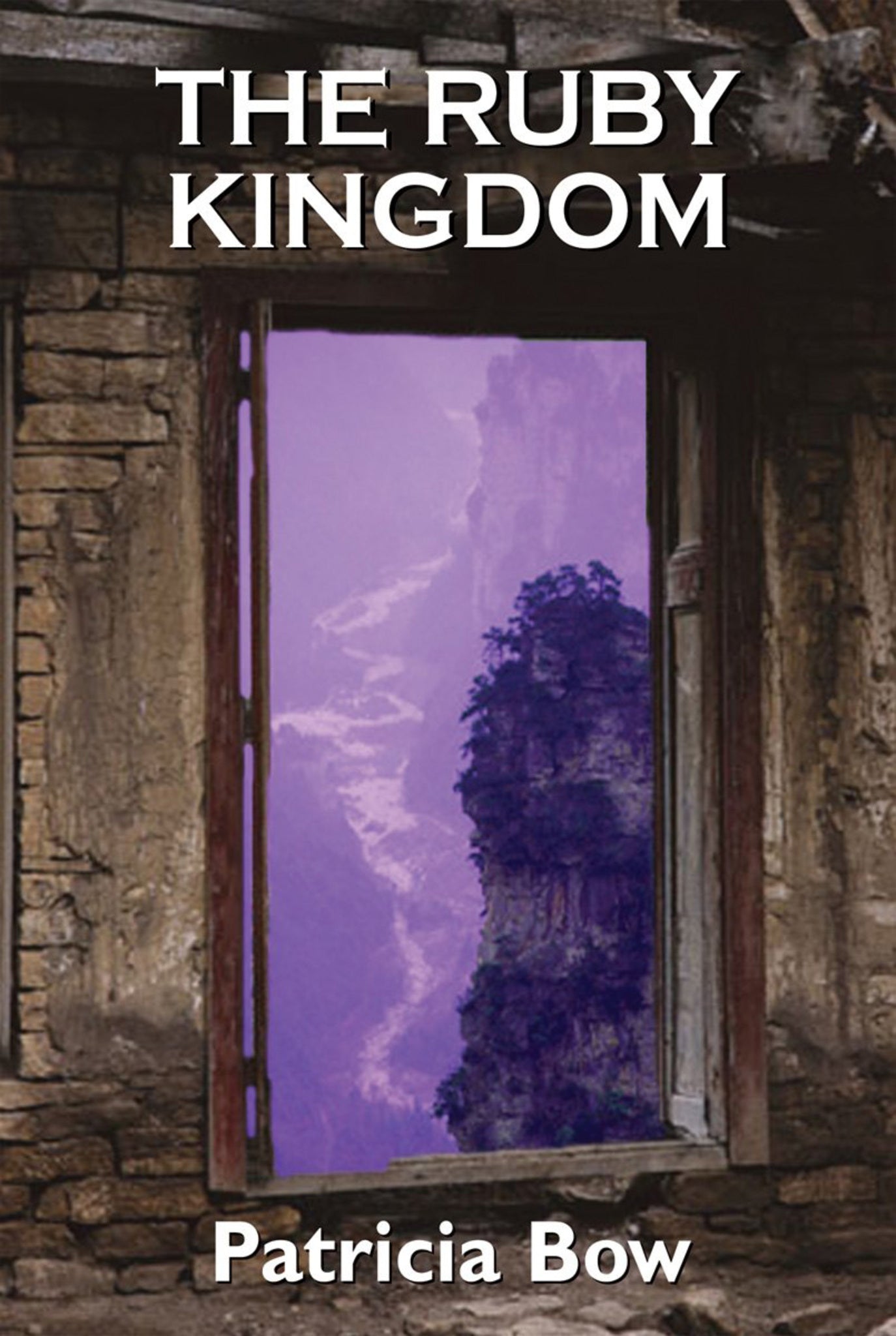 Cover image for The Ruby Kingdom ISBN 9781550026672
