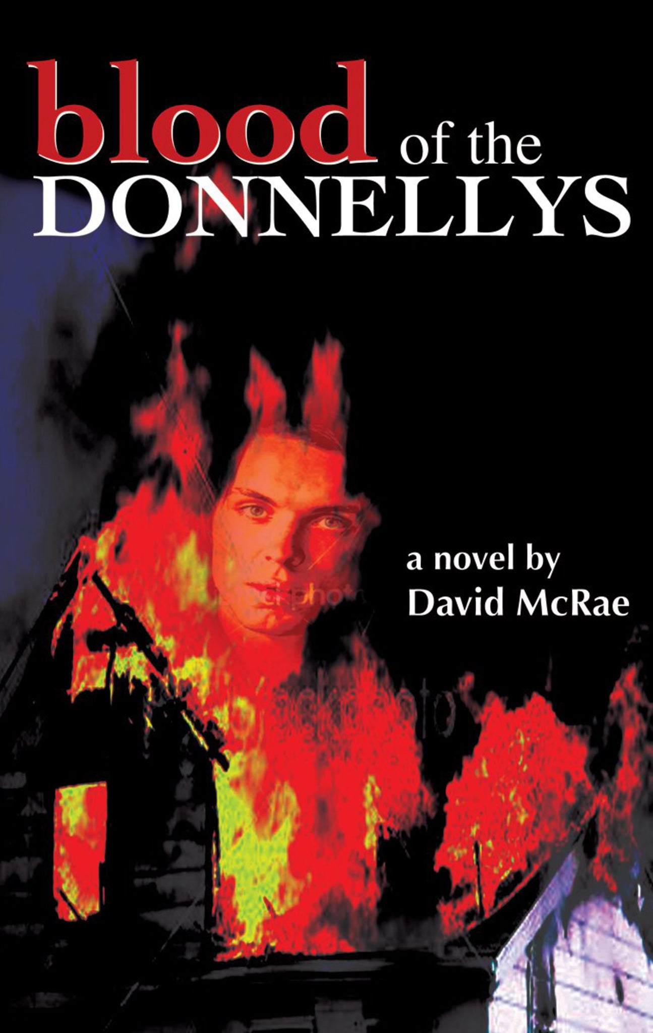 Cover image for Blood of the Donnellys ISBN 9781550027549