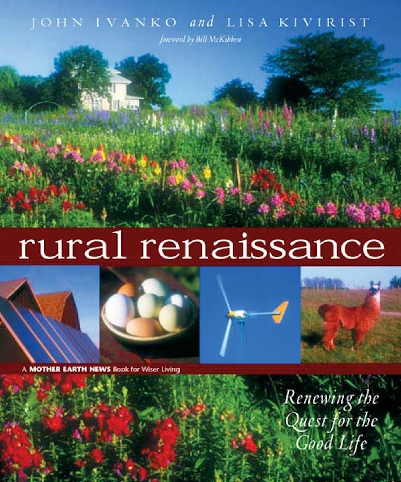 Book cover image for Rural Renaissance ISBN: 9781550923384