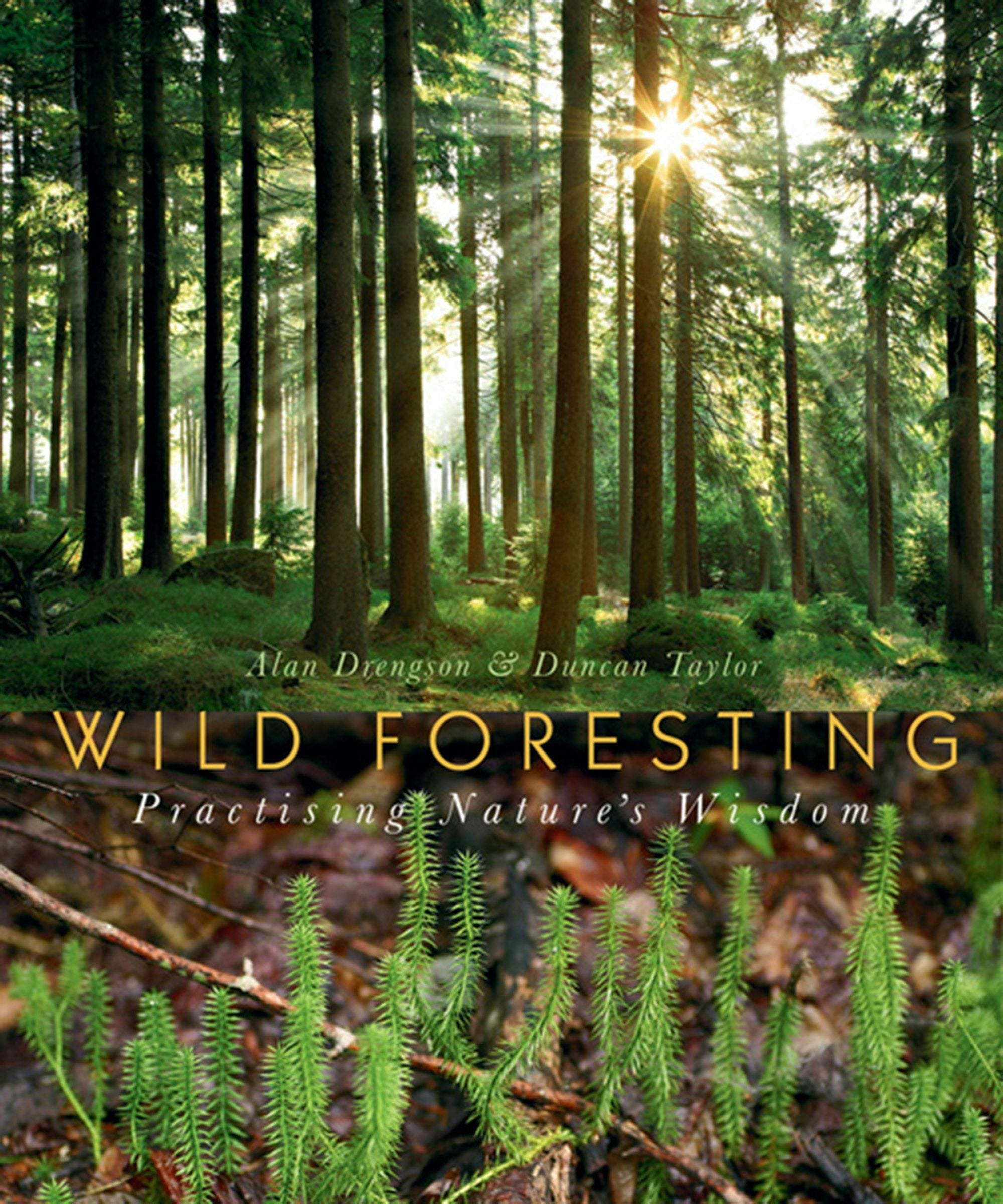 Book cover image for Wild Foresting ISBN: 9781550924251