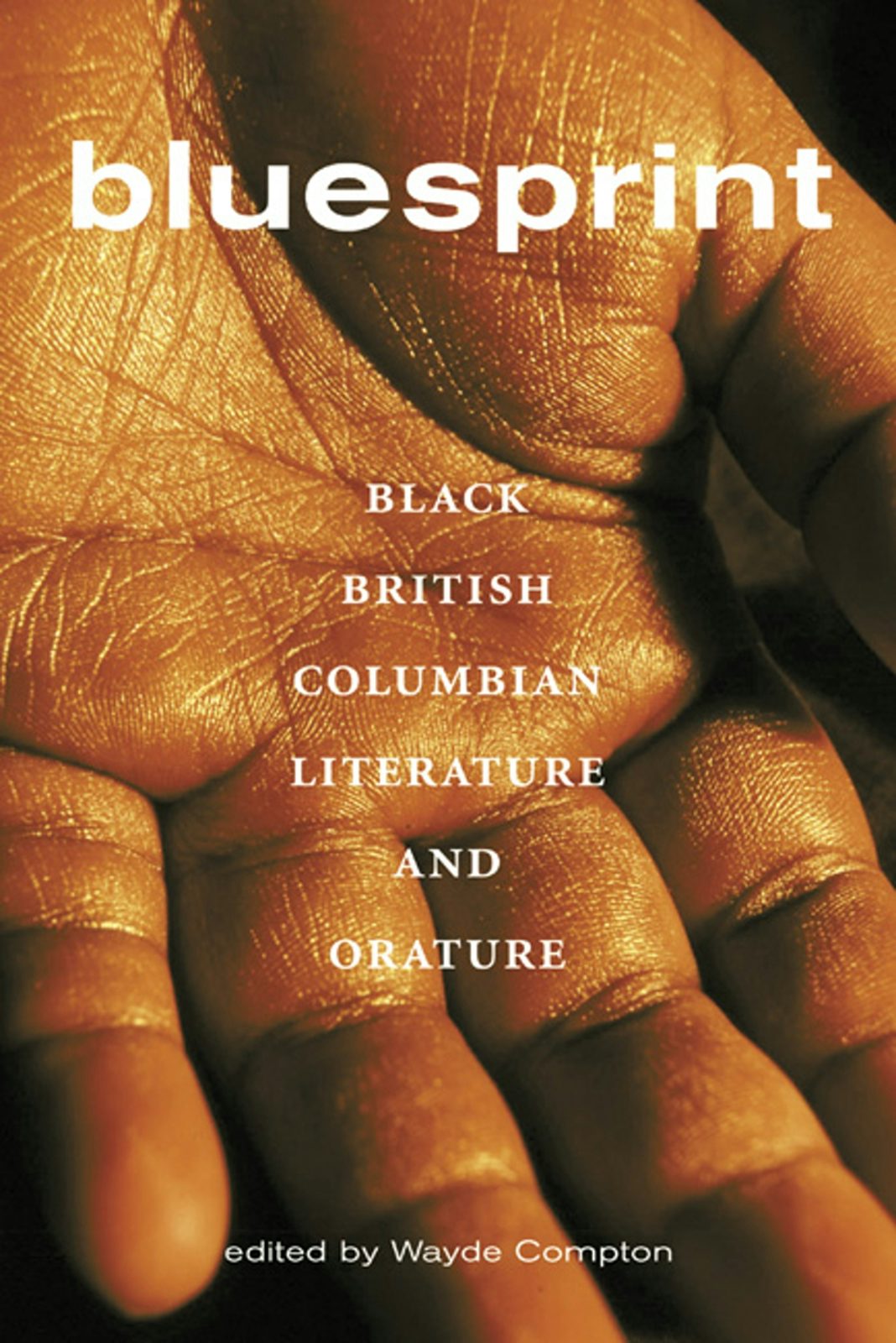Book cover image for Bluesprint ISBN: 9781551521183