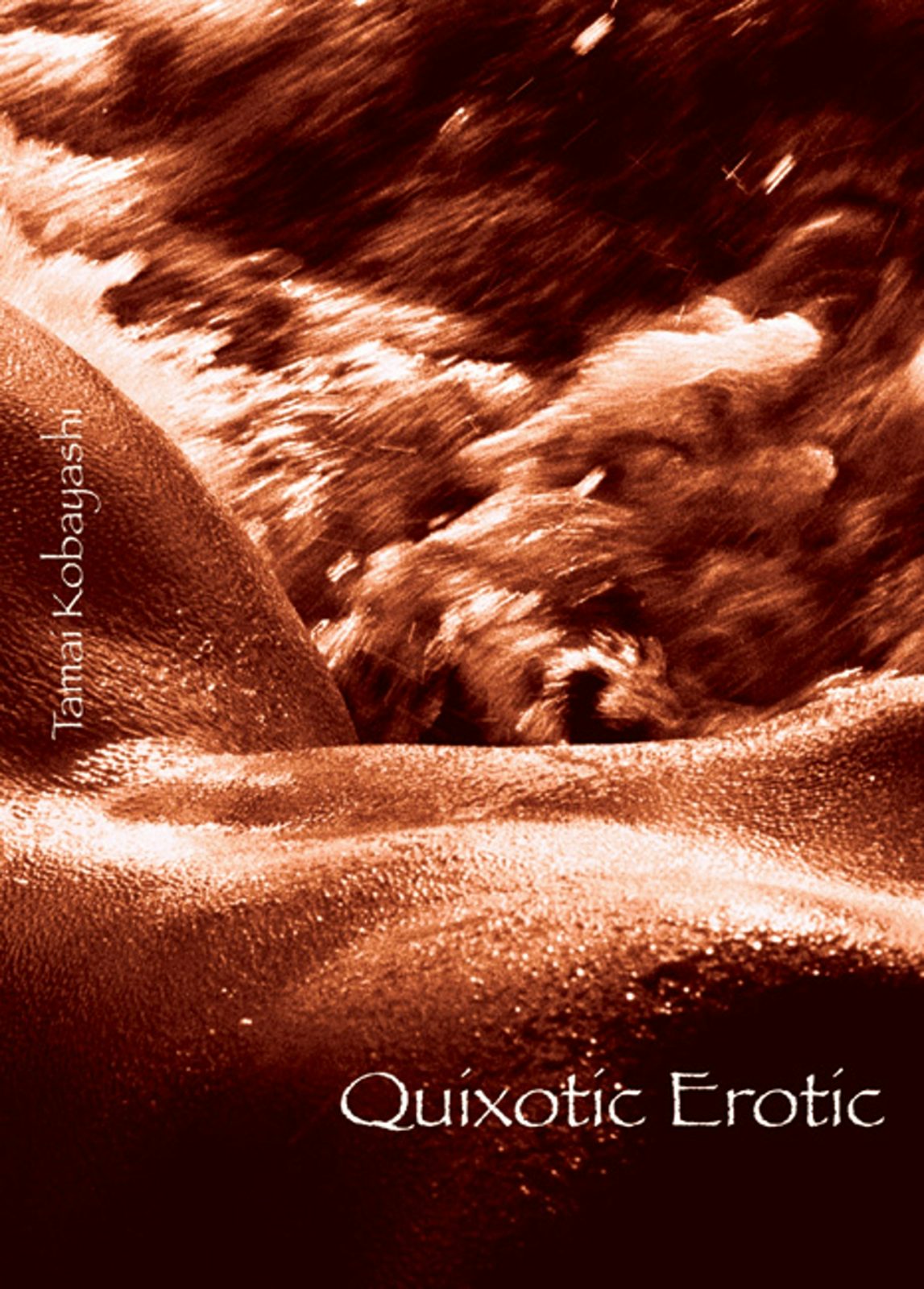 Book cover image for Quixotic Erotic ISBN: 9781551521398