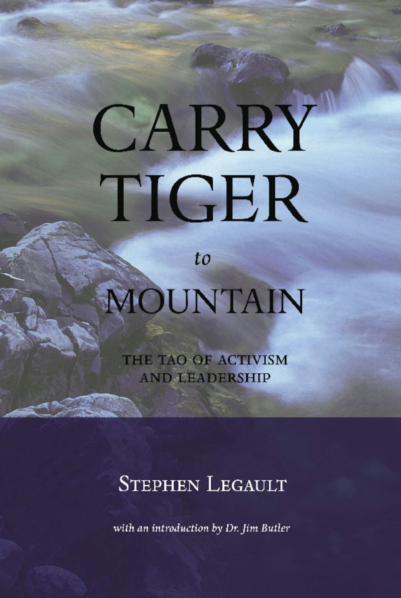 Book cover image for Carry Tiger to Mountain ISBN: 9781551522005