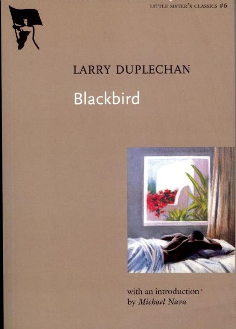 Book cover image for Blackbird ISBN: 9781551522029
