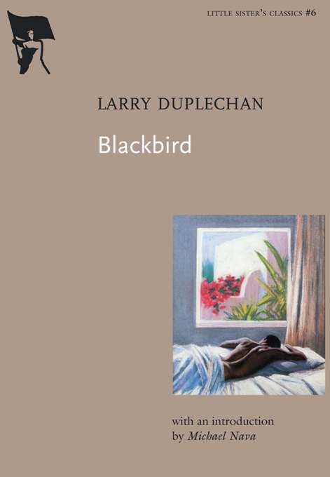 Book cover image for Blackbird ISBN: 9781551522678