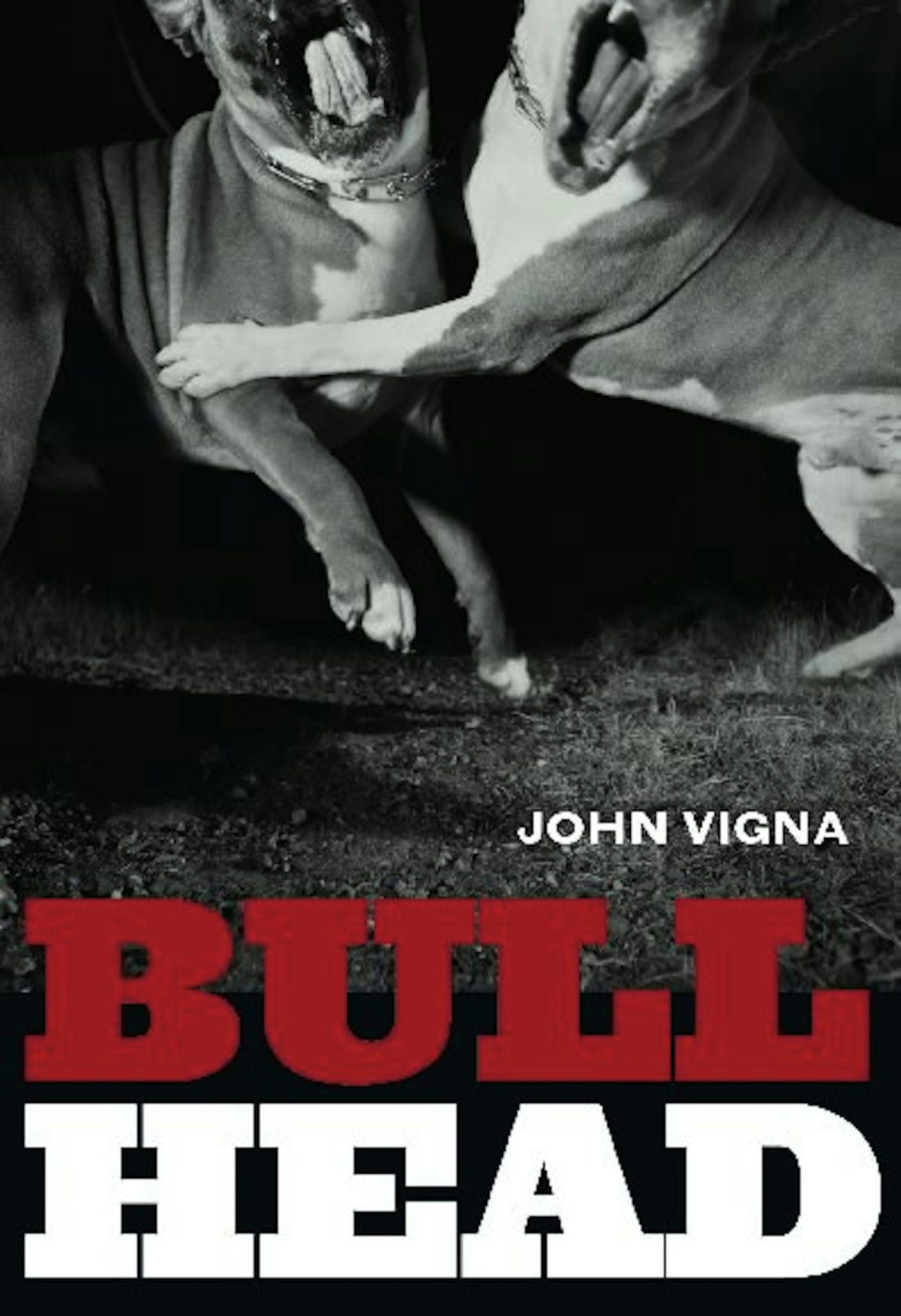 Book cover image for Bull Head ISBN: 9781551524917