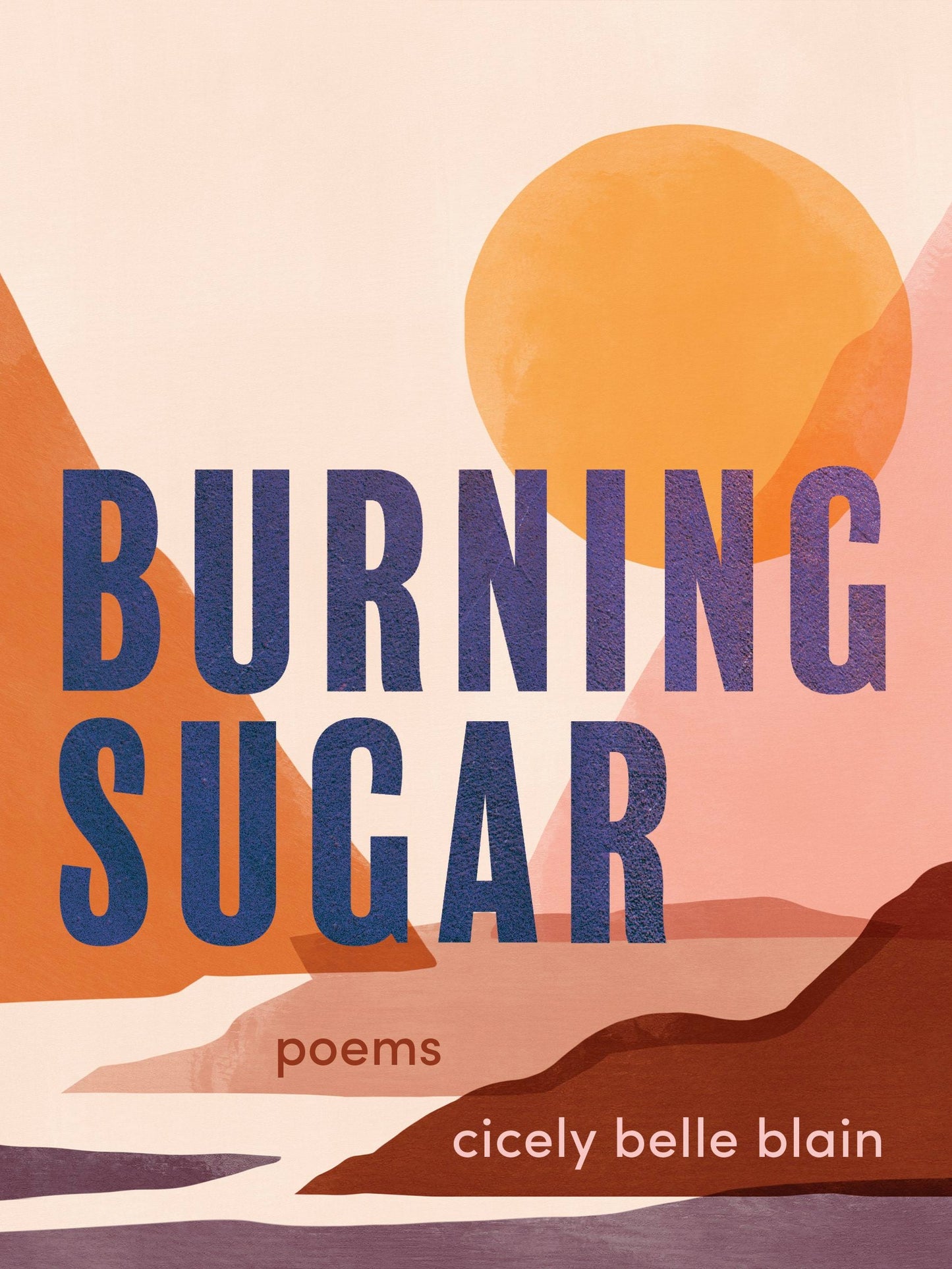 Book cover image for Burning Sugar ISBN: 9781551528250