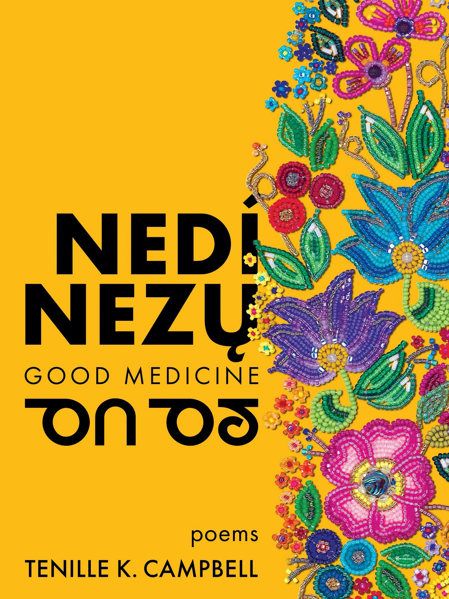 Book cover image for nedí nezų (Good Medicine) ISBN: 9781551528472
