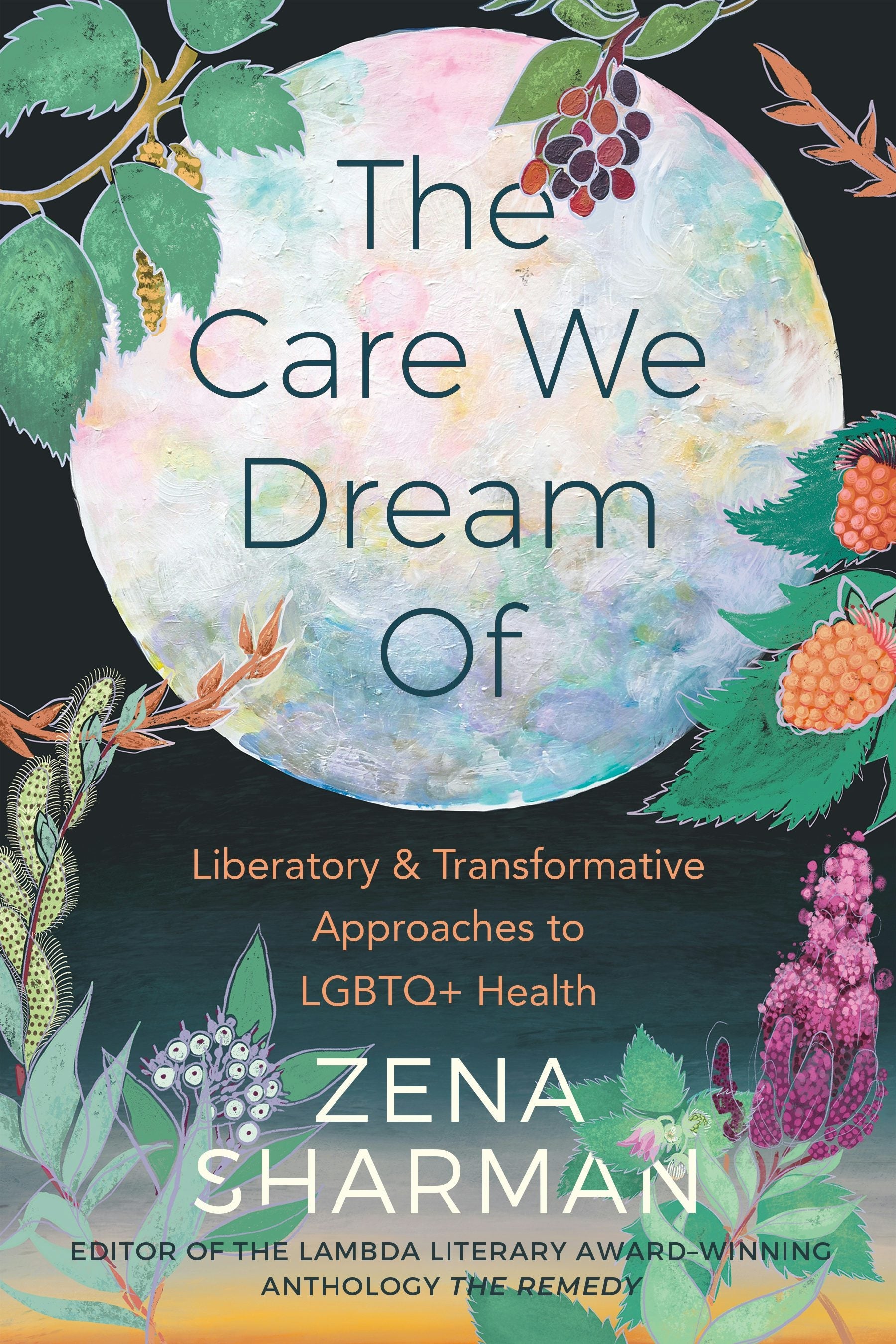 Book cover image for The Care We Dream Of ISBN: 9781551528601