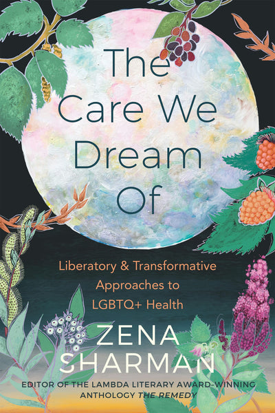 Cover image for The Care We Dream Of, isbn: 9781551528618