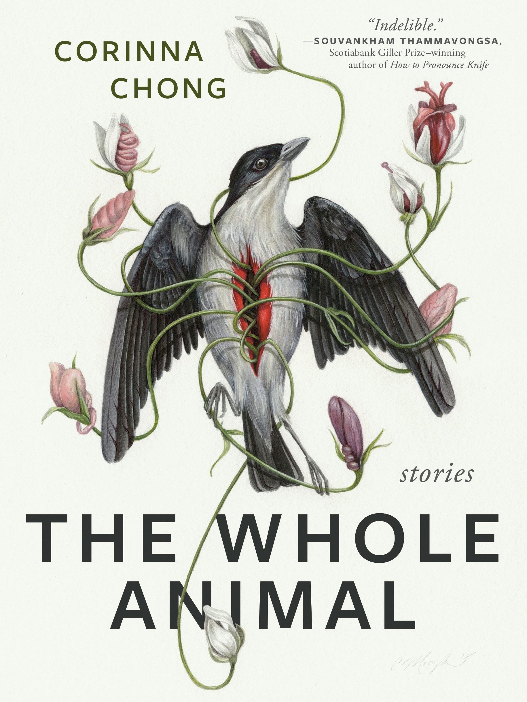 Book cover image for The Whole Animal ISBN: 9781551529165