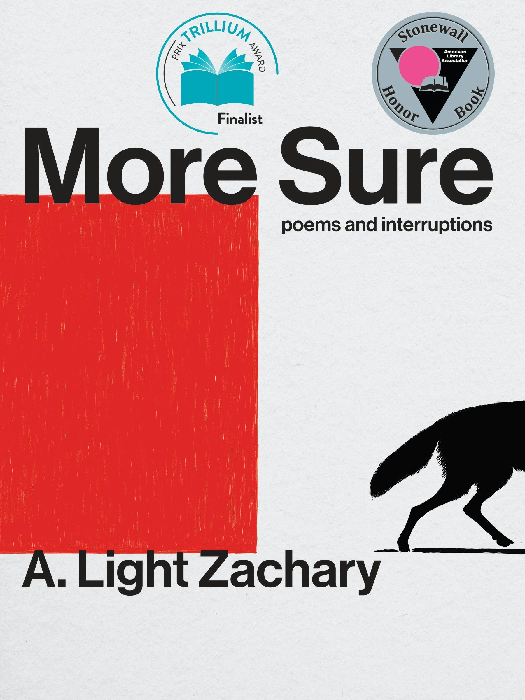 Book cover image for More Sure ISBN: 9781551529189