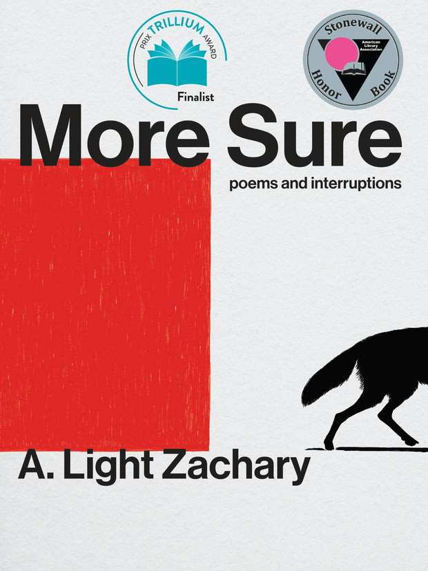 Cover image for More Sure, isbn: 9781551529189