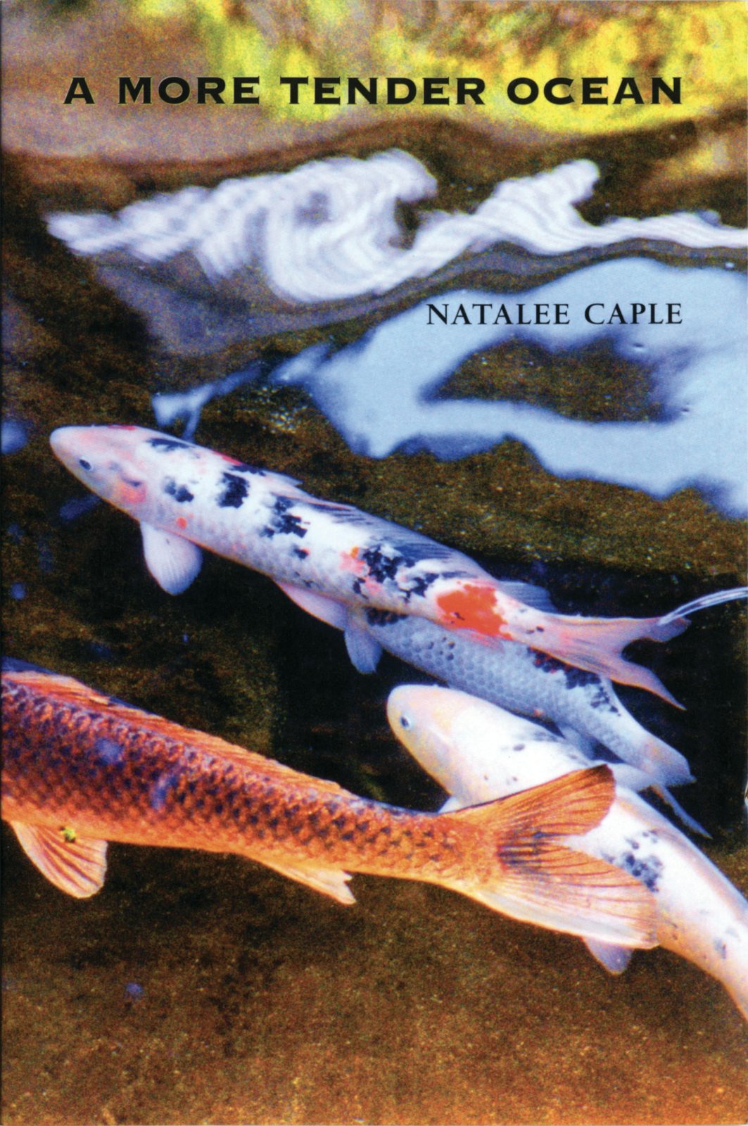 Book cover image for A More Tender Ocean ISBN: 9781552450574