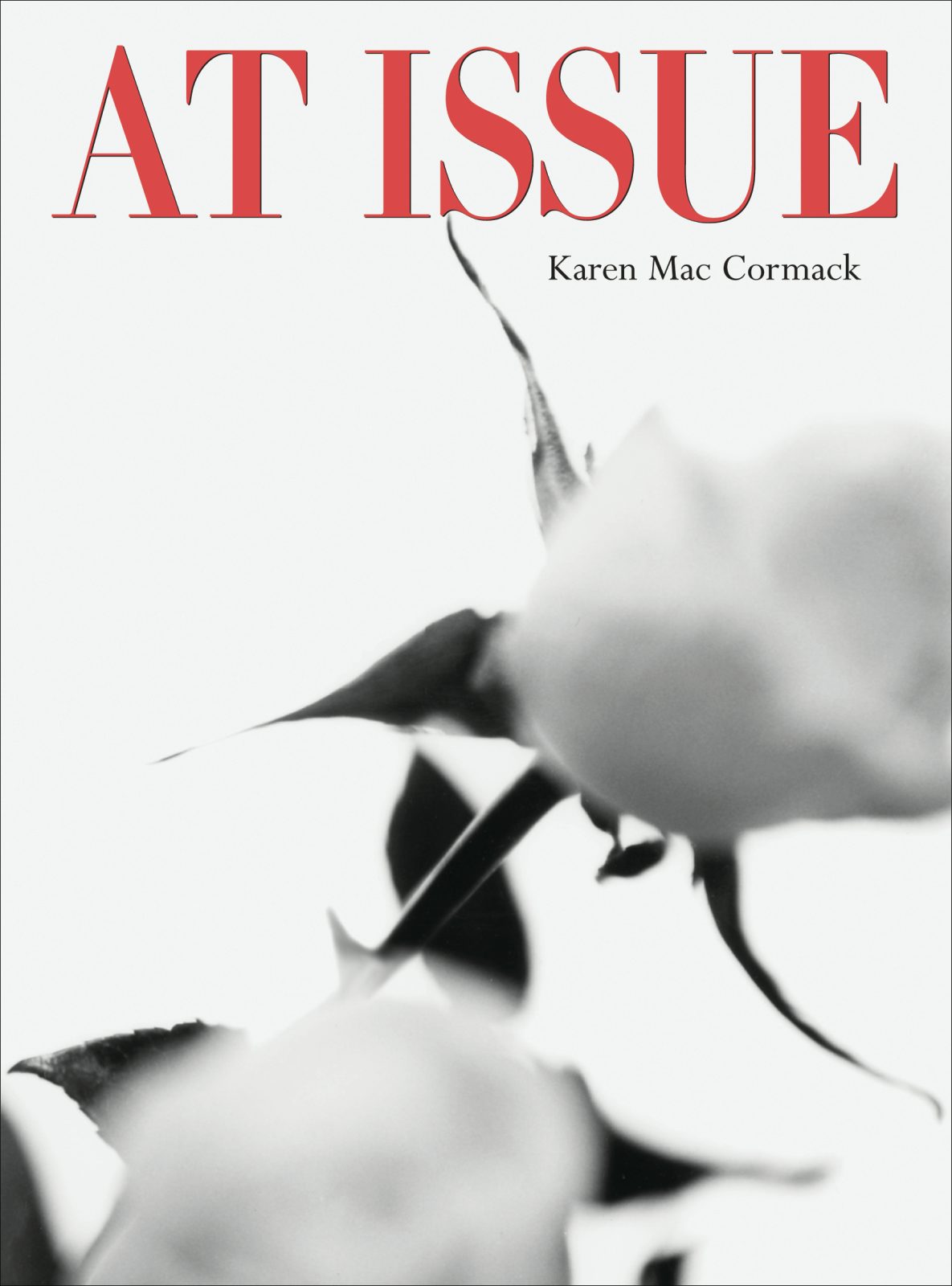 Book cover image for At Issue ISBN: 9781552450932