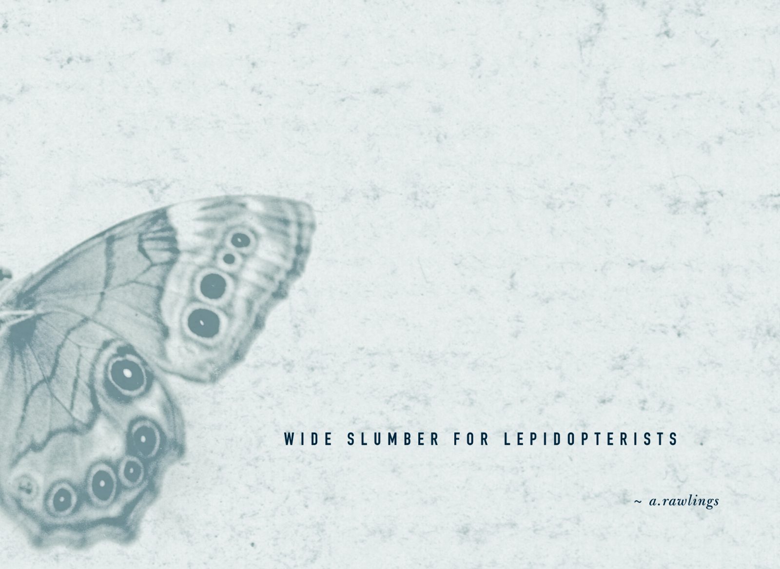 Wide Slumber for Lepidopterists