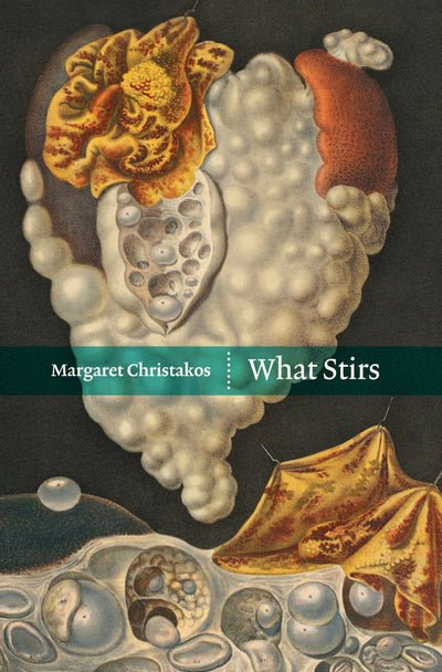 Cover image for What Stirs, isbn: 9781552452042