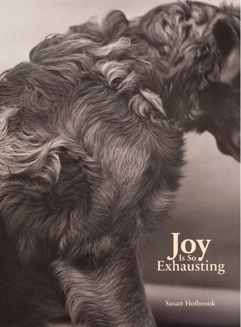 Book cover image for Joy Is So Exhausting ISBN: 9781552452226