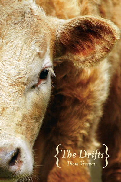 Cover image for The Drifts, isbn: 9781552452288