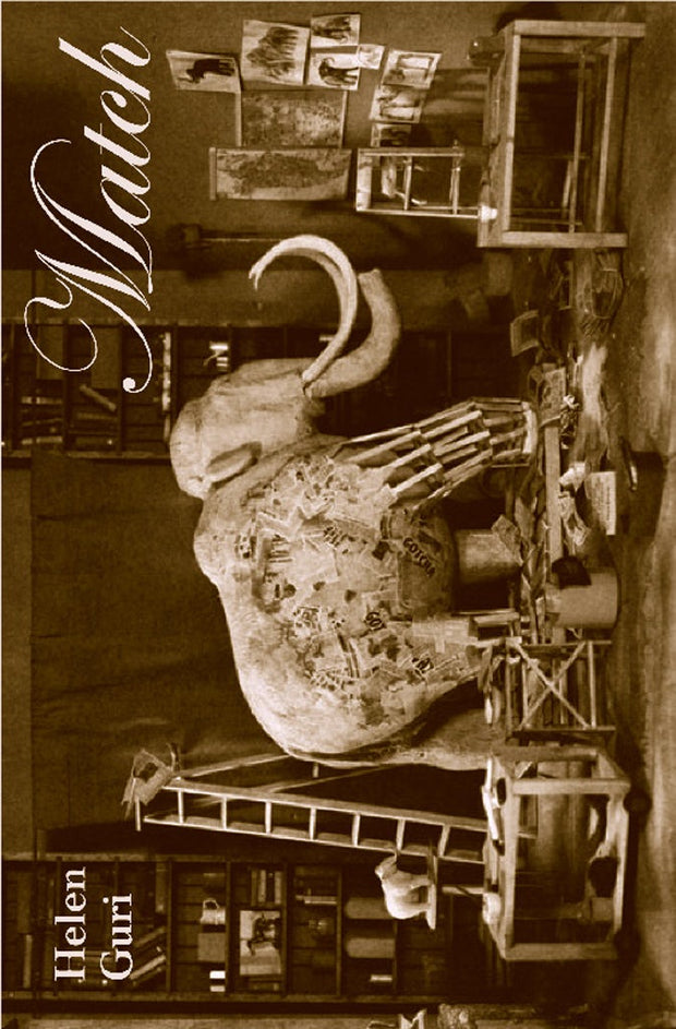 Cover image for Match, isbn: 9781552452431