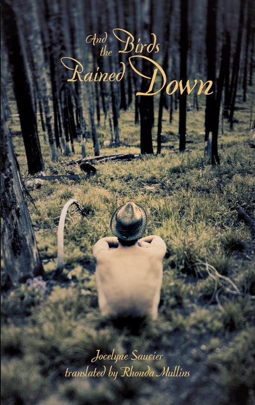 Book cover image for And the Birds Rained Down ISBN: 9781552452684
