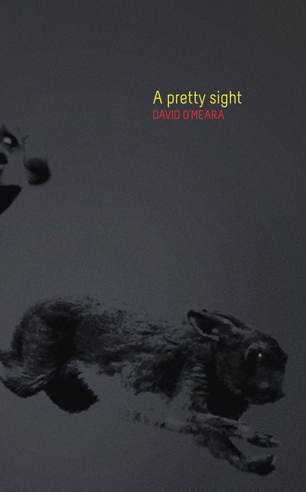 Book cover image for A Pretty Sight ISBN: 9781552452813