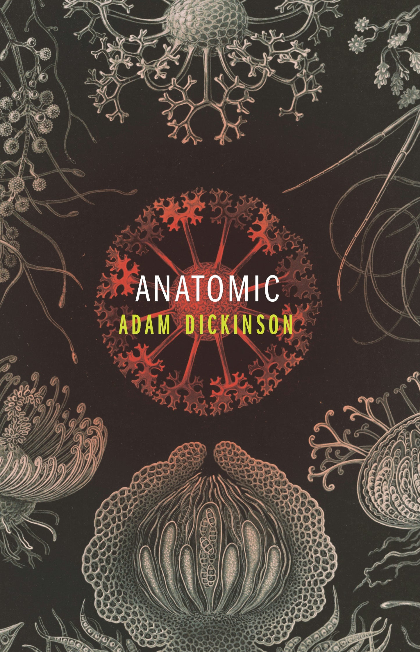 Book cover image for Anatomic ISBN: 9781552453643