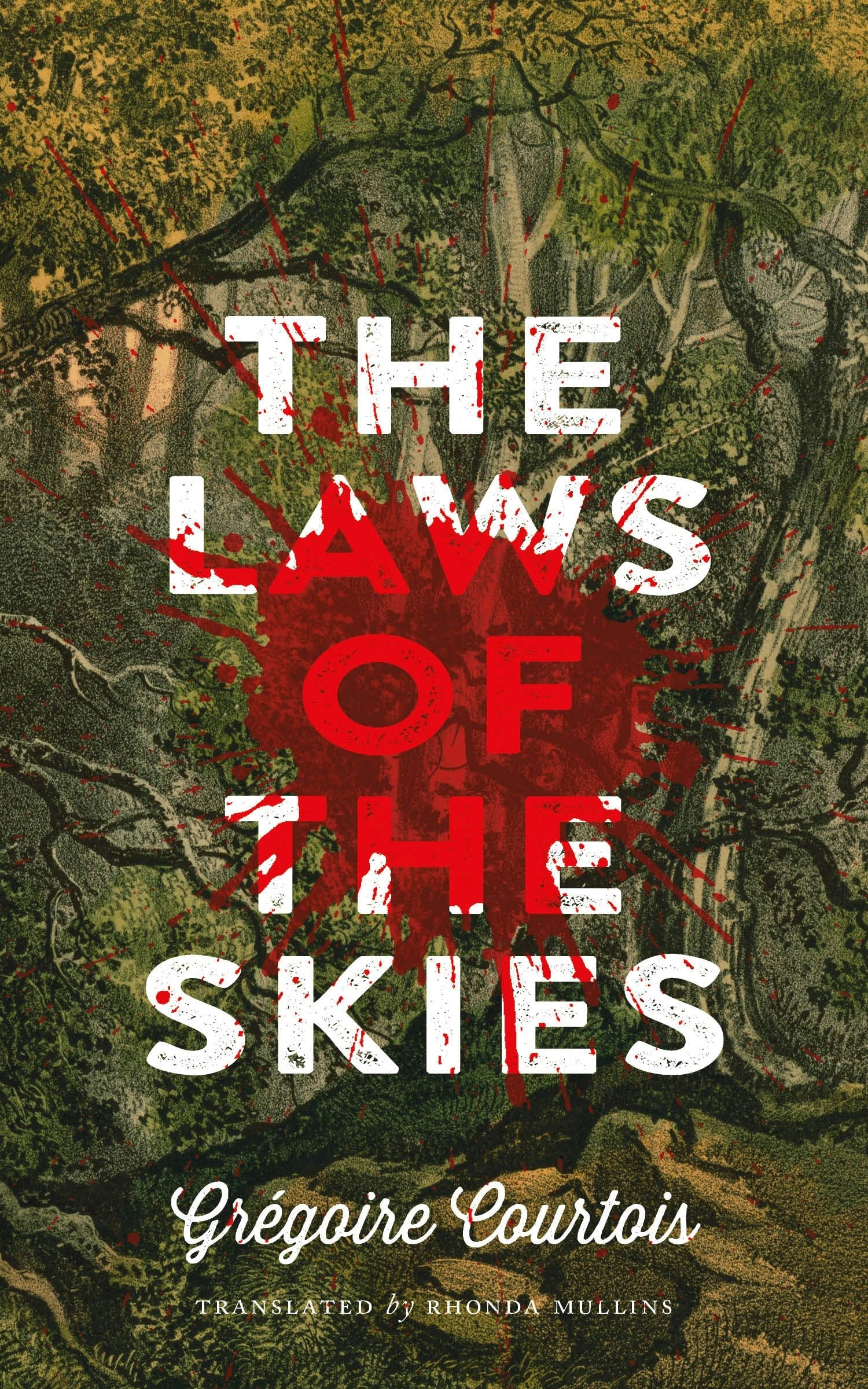 Book cover image for The Laws of the Skies ISBN: 9781552453872