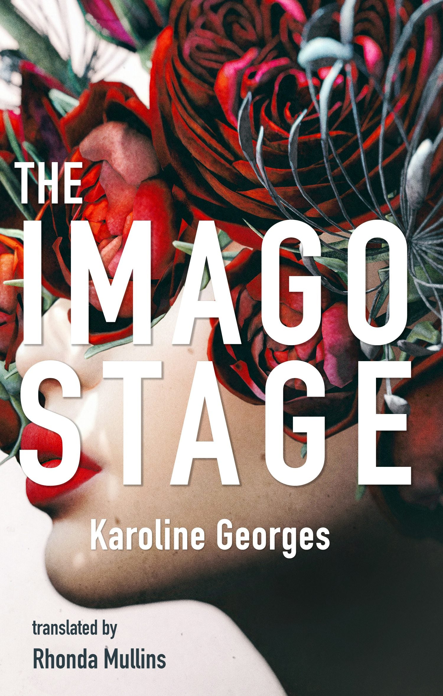 Book cover image for The Imago Stage ISBN: 9781552454022